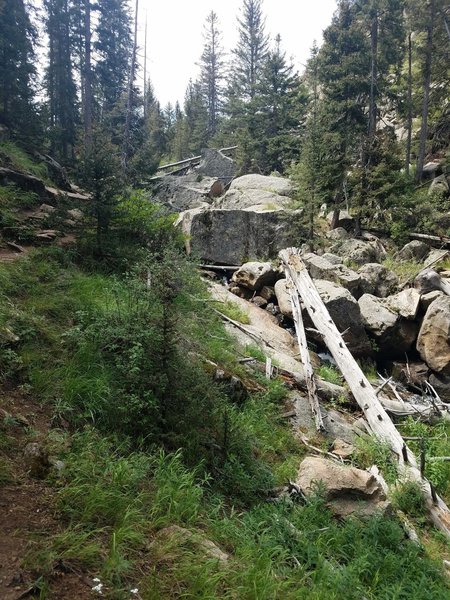 Tree Fall and Boulders creating falls in the stream