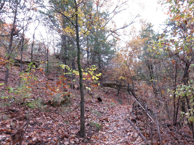 You'll encounter outcroppings of Rock Ledges at the Start .