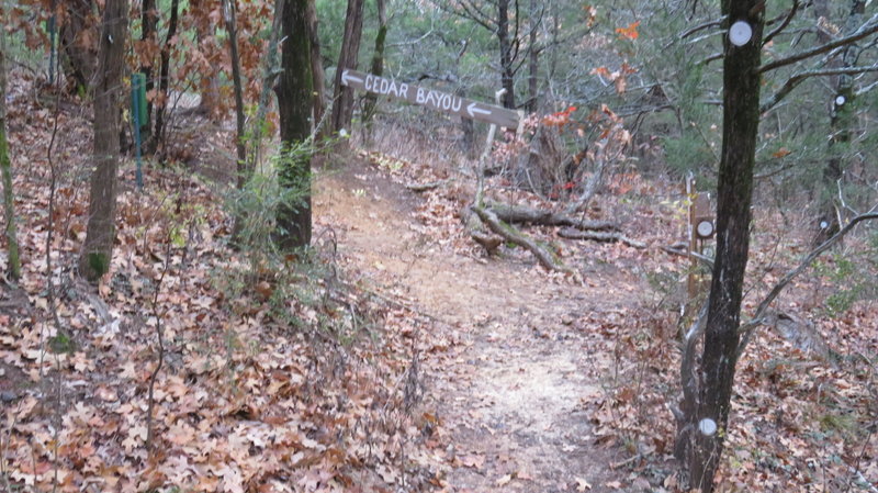 Trail Running signs of past and future competitions are strown along the trail ..... but have no significance if your exploring .