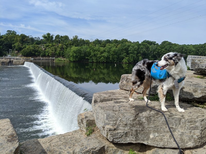 Checking out the spillway of Dam #5 just across the bridge from the start of this section.