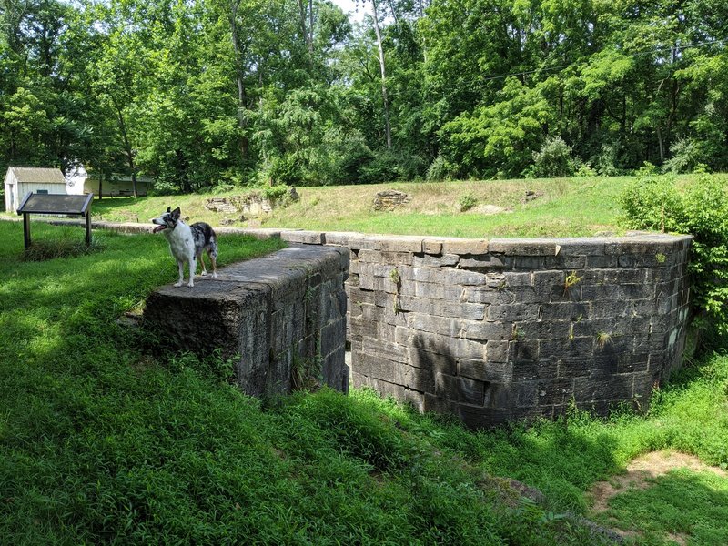 Lock 49