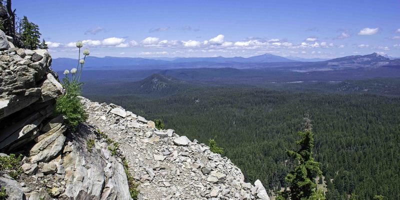 Looking northeast from near the top of Union Peak. 23 July 2020. Mount Bailey and the Watchman are visible..