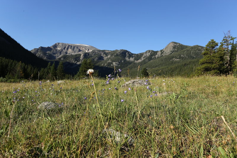 Breakneck Meadow