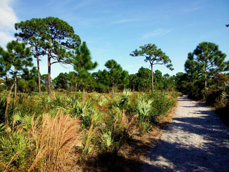 Main entry trail