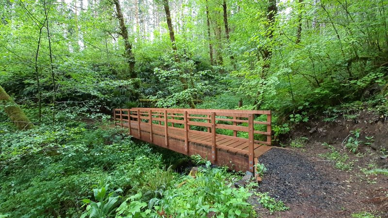 A wooden footbridge over a small creek on the Wilson River Trail.