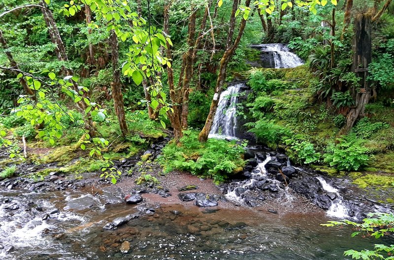 Lester Creek Falls from across the Wilson River.