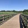 Wetland boardwalk.