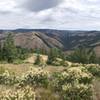 View to the north from Buck Mountain into the North Fork Umatilla Wilderness. Grouse Mountain on the horizon.