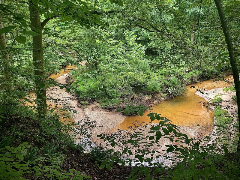 Water scene along the trail.