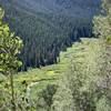 Looking back towards the river valley on the ascent to the falls