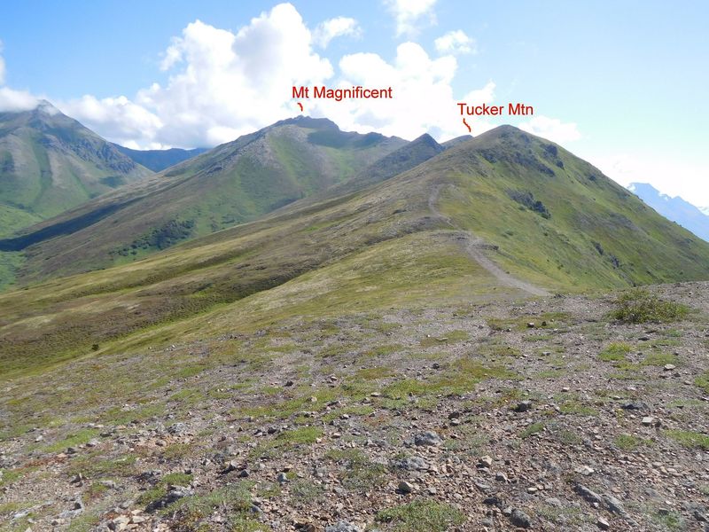 View to east of trail along ridge and Mt. Magnificent.