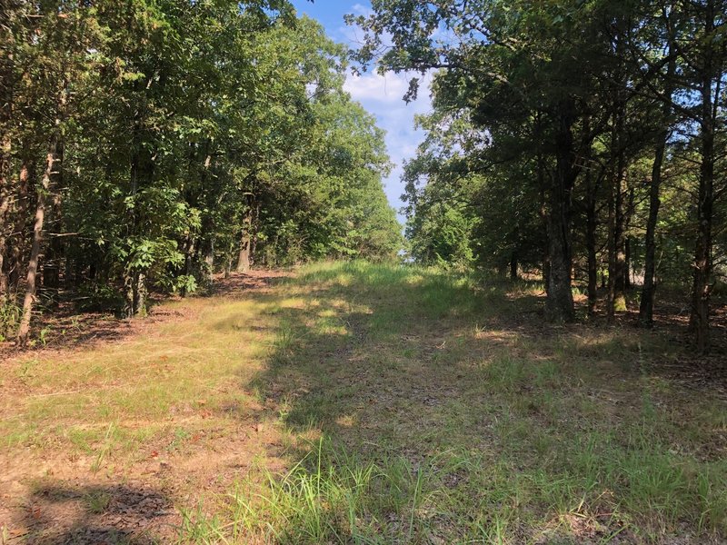 Easement? Old Road? Place to see wildlife? Cross trail?