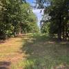 Easement? Old Road? Place to see wildlife? Cross trail?