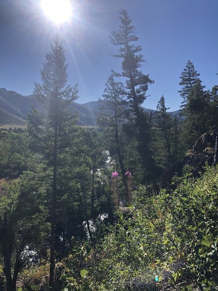 Hiking up to chocolate gulch from Fox Creek