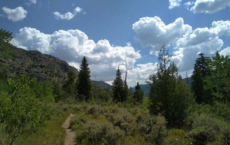 Heading toward Boulder Creek Canyon near the start of Boulder Canyon Trail.