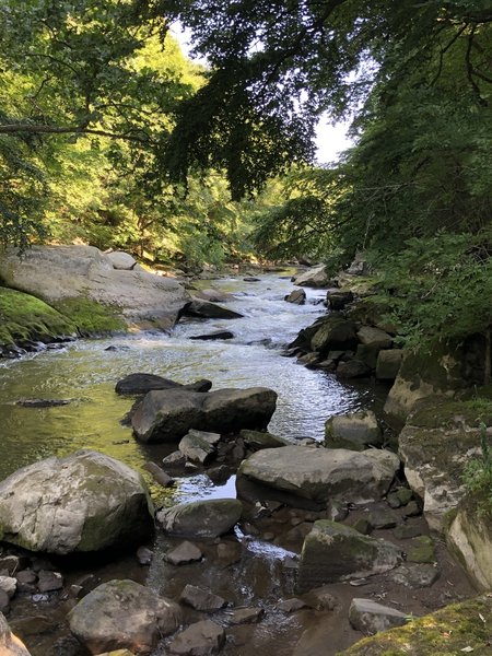 Slippery Rock Creek from Kildoo Trail.