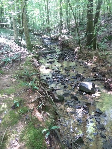 Beautiful stream flowing  into the Eno River.