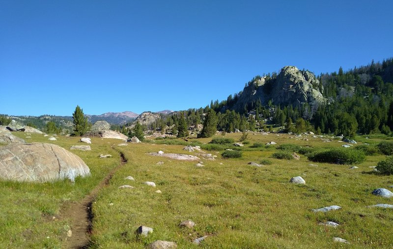 Beautiful open, rocky meadows on the east side of Chain Lakes along Highline Trail, on a sunny July morning.