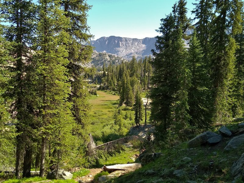 Highline Trail descends into a small meadow below near Pole Creek.