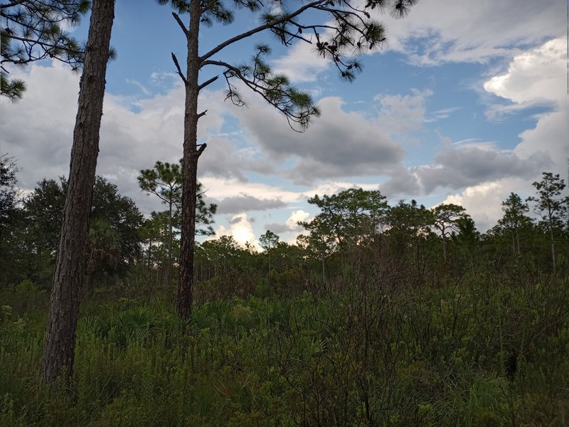 Some of the scenery along the Yellow Trail.