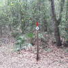 Guidepost #0 at Alafia Scrub Nature Preserve.
