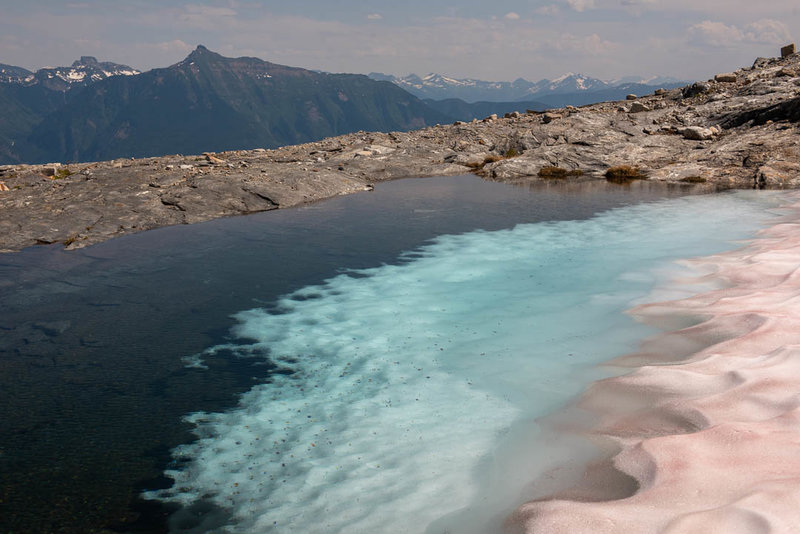 A snowfield melts into a small pool at the base of Begbie Glacier.