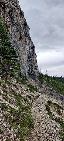 The trail between Yoho Pass and Burgess pass crosses under cliffs and through shale beds. The famous Burgess Shale fossil quarries are near here but entrance is stricly forbidden.