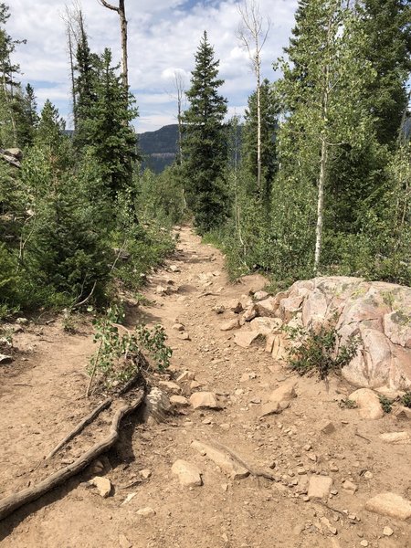 Trail to Potato Lake