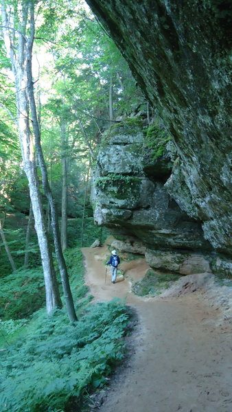 The trail to Olsen Falls.