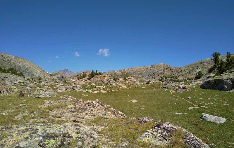 Mt. Lester emerges in the distance to the north from an alpine area of the  CDT/Fremont Trail just south of Mt. Baldy.