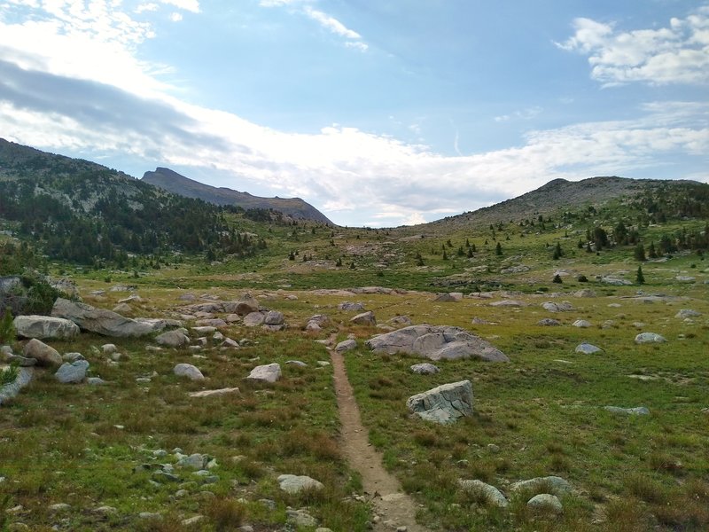 In the alpine, approaching Hat Pass, 10,850+ feet, from the north on the CDT/Fremont Trail.