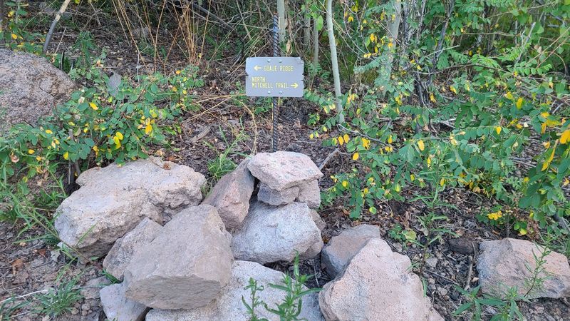 The small sign pointing to the start of North Mitchell Trail where it leave Guaje Ridge trail.