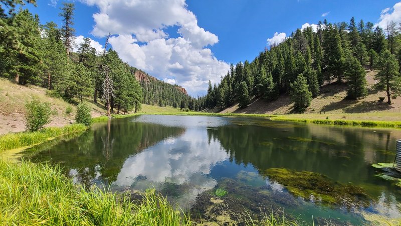 The small fishing reservoir in Rio Cebolla. August 2020.