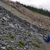 The Burgess Shale, site of one of the most important fossil discoveries in the world. Unguided groups cannot venture higher in the fossil quarries. Stay on the trail.