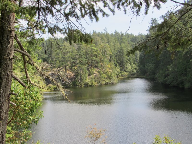 Island at Whistle Lake