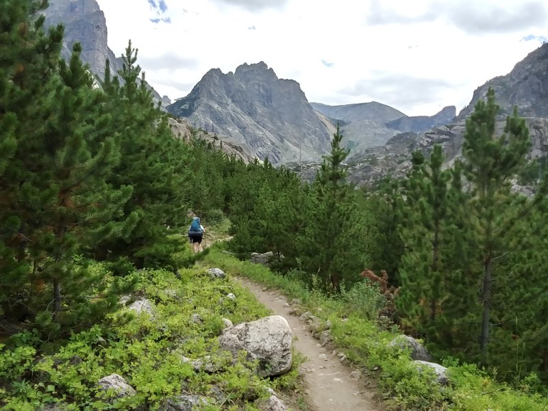 Near the East Rosebud Trailhead