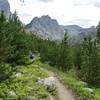 Near the East Rosebud Trailhead