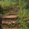 Steps along the trail