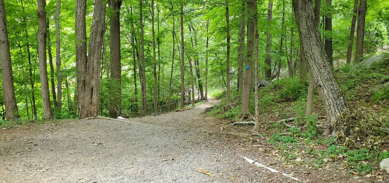 Lakeside Trail