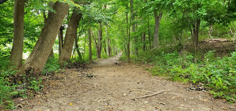 My favorite bit of the Lakeside Trail