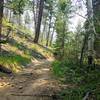 Doubletrack trail with little shade.