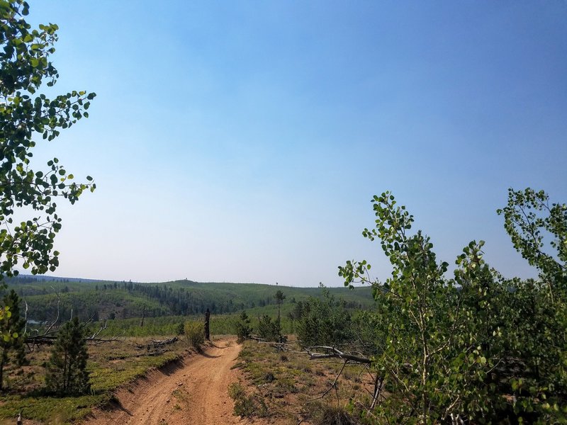 Turkey Creek Trail 731 is mostly used for dirt bikes and ATVs.