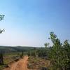 Turkey Creek Trail 731 is mostly used for dirt bikes and ATVs.