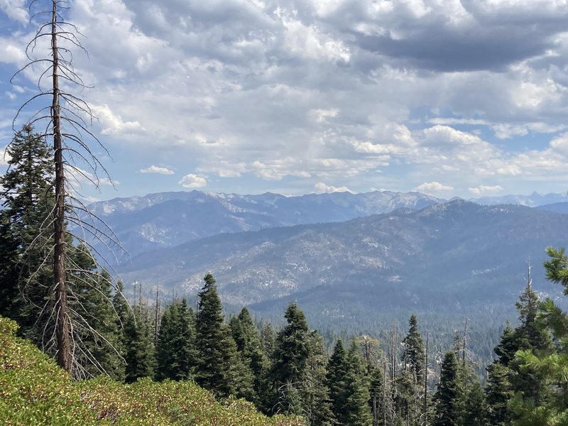 Right before heading into the woods on the Ridge Trail. Can anyone name the peaks in view?