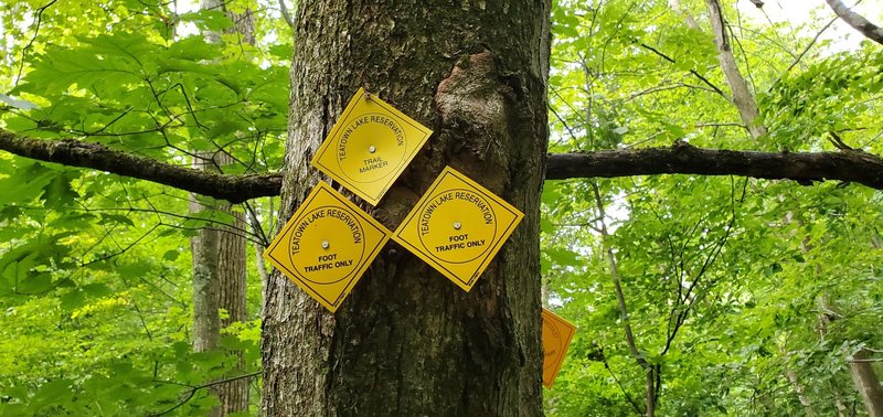 Cliffdale-Teatown Trail Yellow Blazes