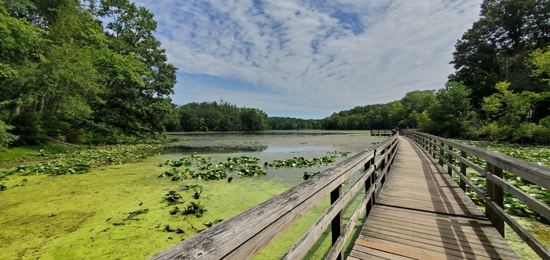 Teatown Lake Boardwalk