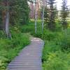 Wood bridge along low area of trail