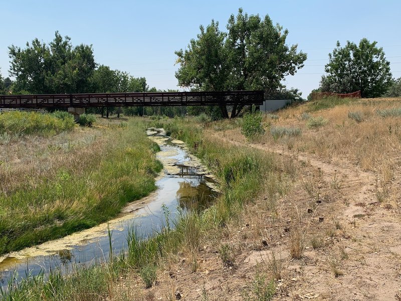 A view from Piney Creek itself back up to the Trail