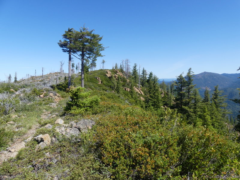 Descending from Summit Valley Lookout along the ridges.