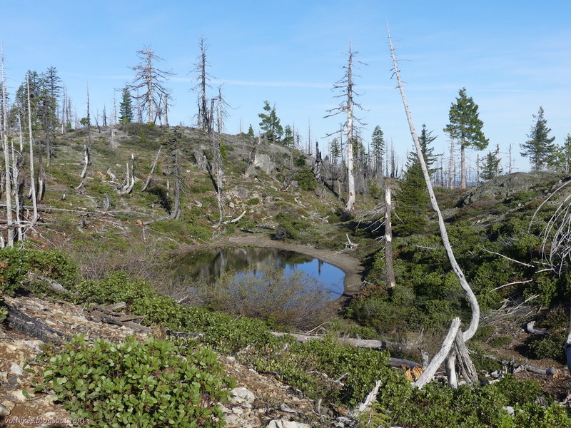 Seasonal pond high on the ridge along Boundary Trail near the junction with Buck Camp Ridge Trail.